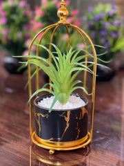 Different style metal stand with ceramic pot ⚜️☘️, metal cage, room decore, table decore, side table decore, ceramic pot inside